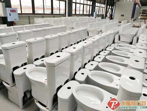 永川帝王潔具 “帝王速度”打造全國最大智能馬桶工廠，推動配件產業升級